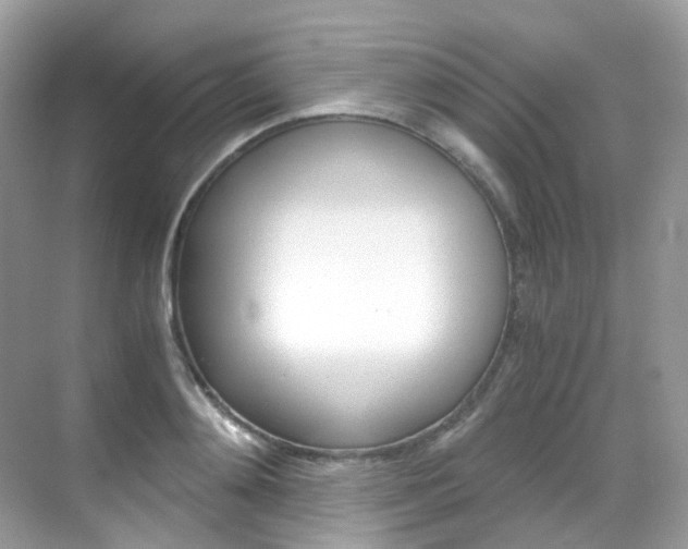 X0000069410892200605121046