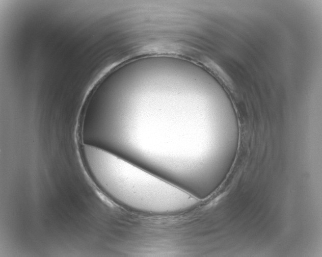 X0000069410893200605121046