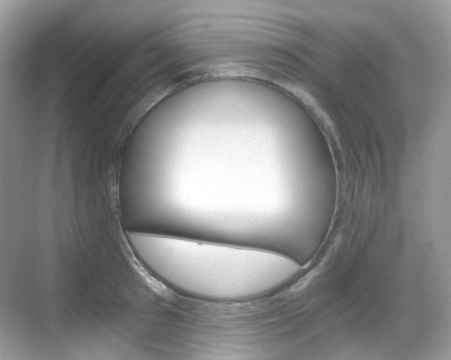 X0000069410897200605121046