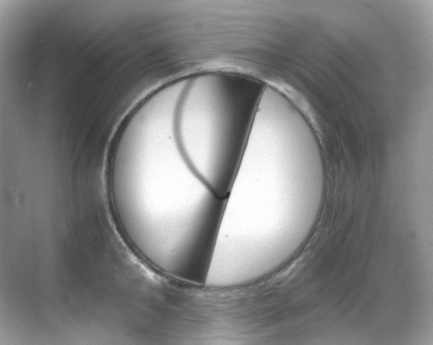 X0000069410902200605121046