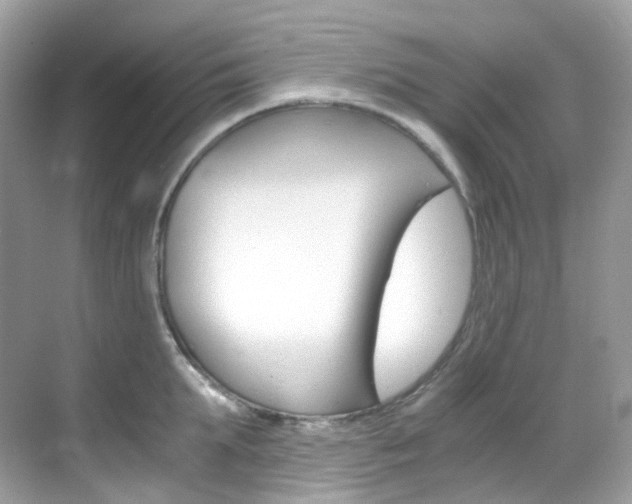 X0000069410903200605121046