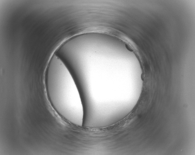 X0000069410907200605121046