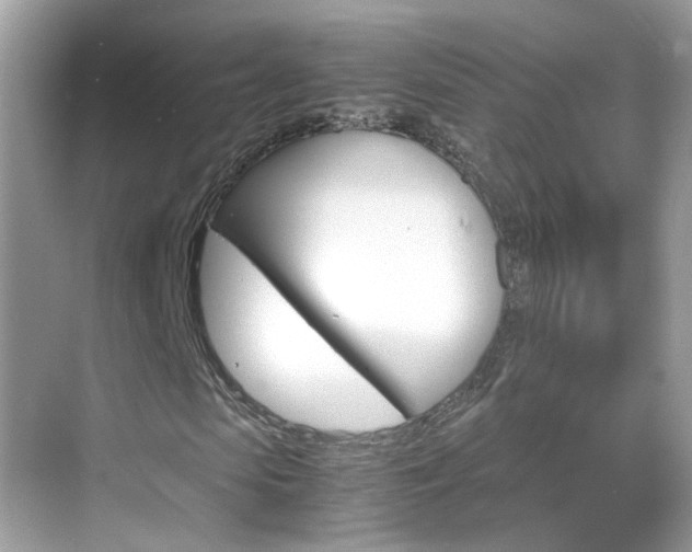X0000069410913200605121045
