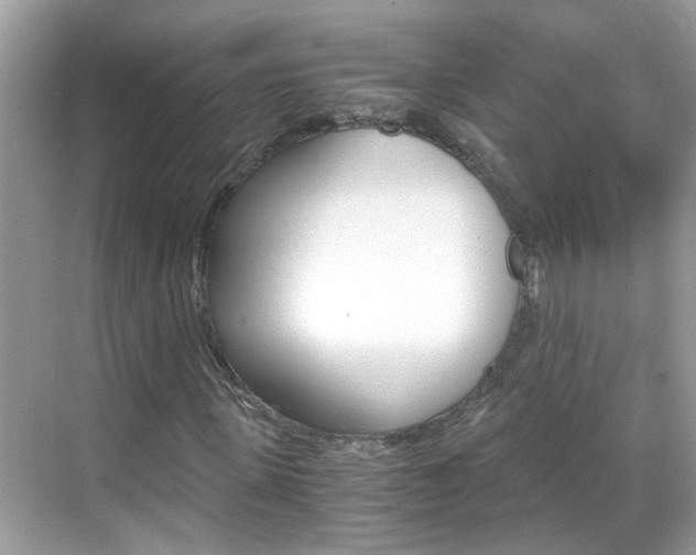 X0000069410915200605121045