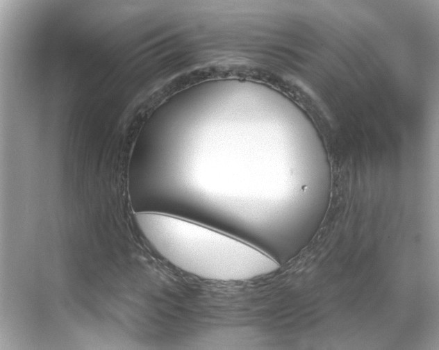 X0000069410919200605121045