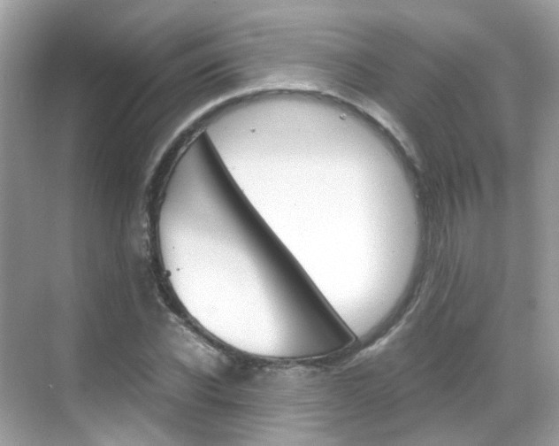 X0000069410926200605121045