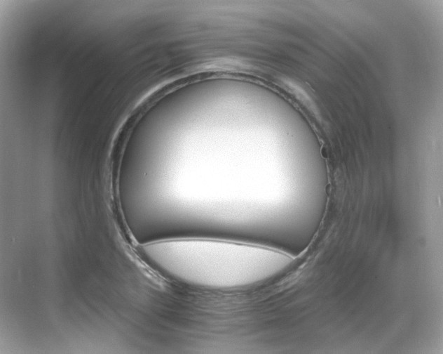 X0000069410931200605121045