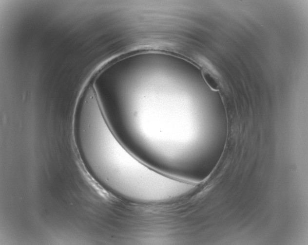 X0000069410940200605121045