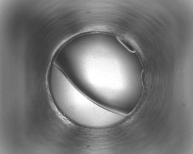 X0000069410944200605121045