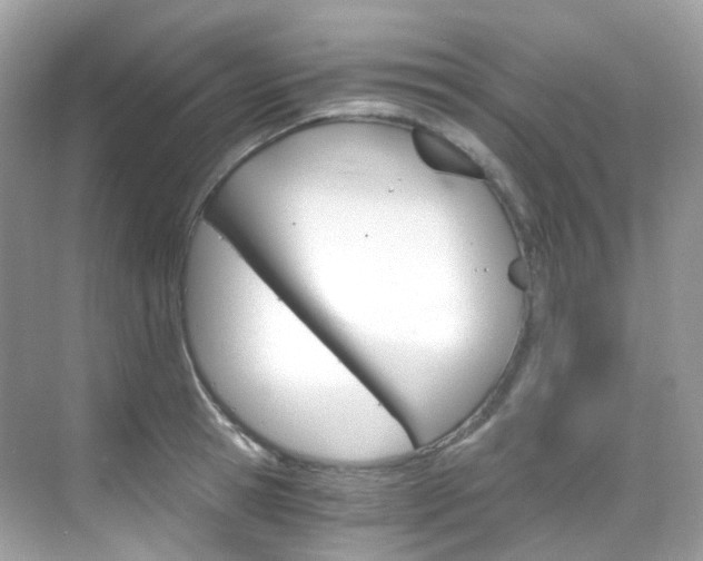 X0000069410945200605121045