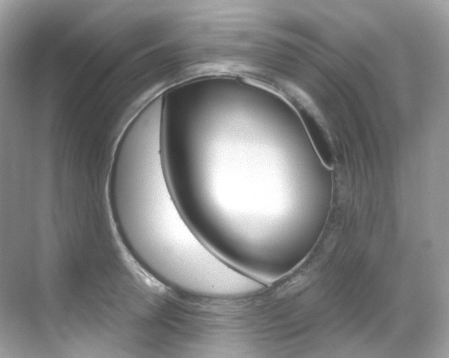 X0000069410946200605121045