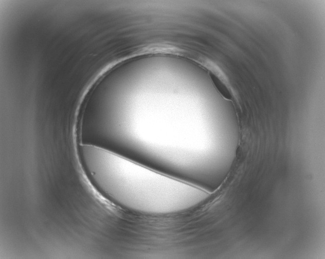 X0000069410947200605121045