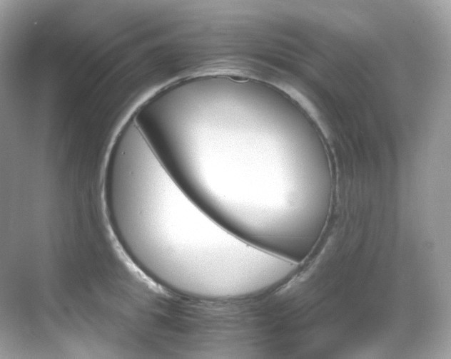 X0000069410949200605121045