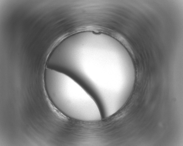 X0000069410954200605121045
