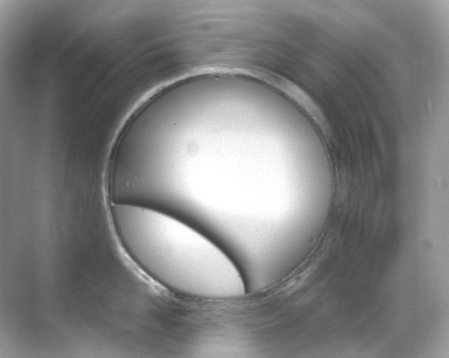 X0000069410958200605121045