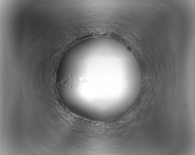 X0000069410961200605121045