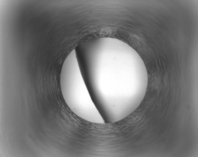 X0000069410962200605121045
