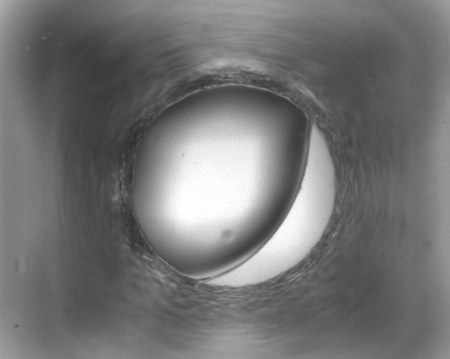 X0000069410965200605121045