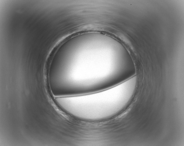 X0000069410981200605121044