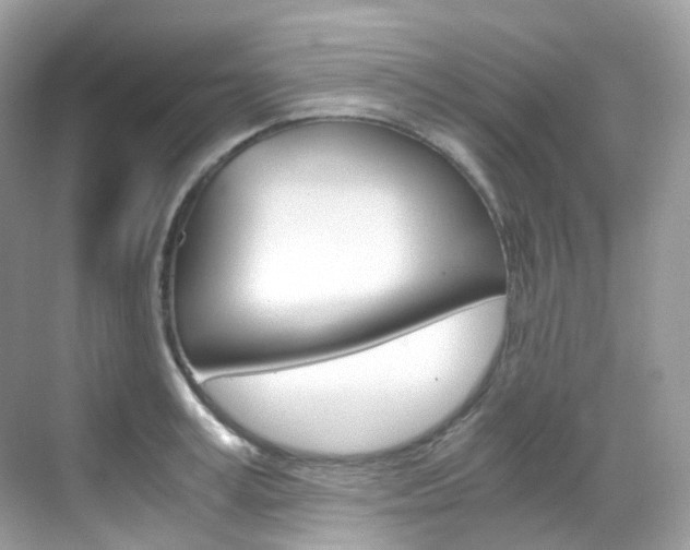 X0000069410995200605121044