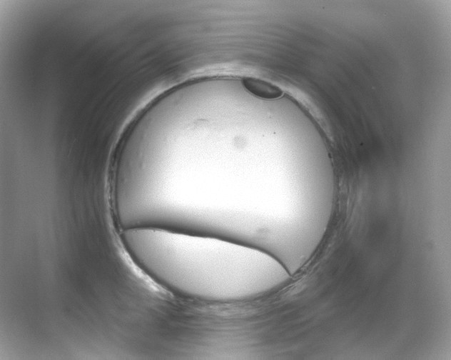 X0000069410998200605121044