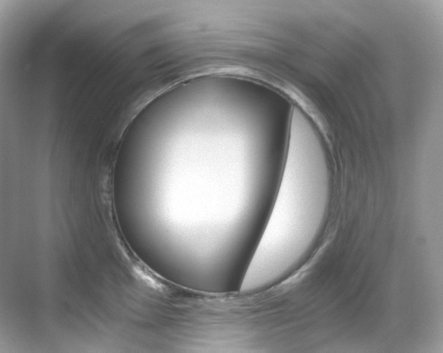 X0000069411001200605121044