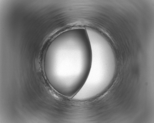 X0000069411018200605121043