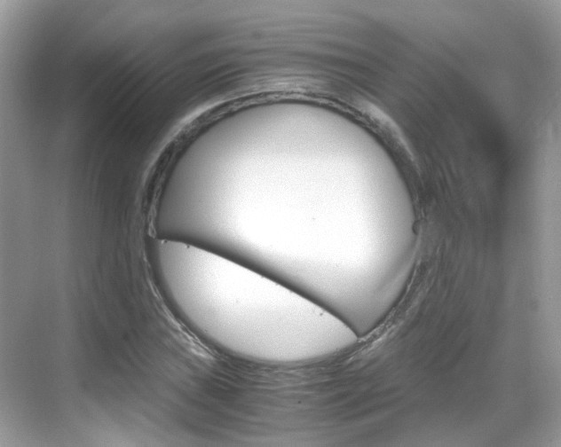 X0000069411019200605121043