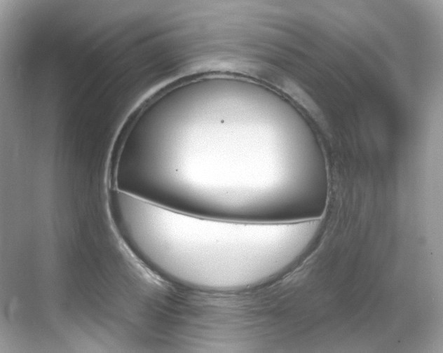 X0000069411028200605121043