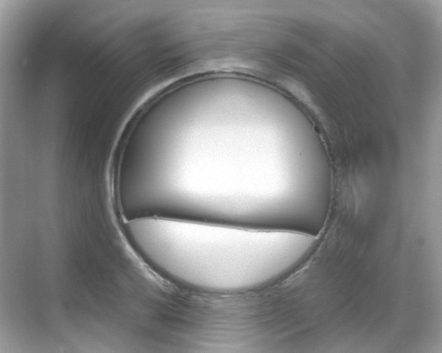 X0000069411032200605121043