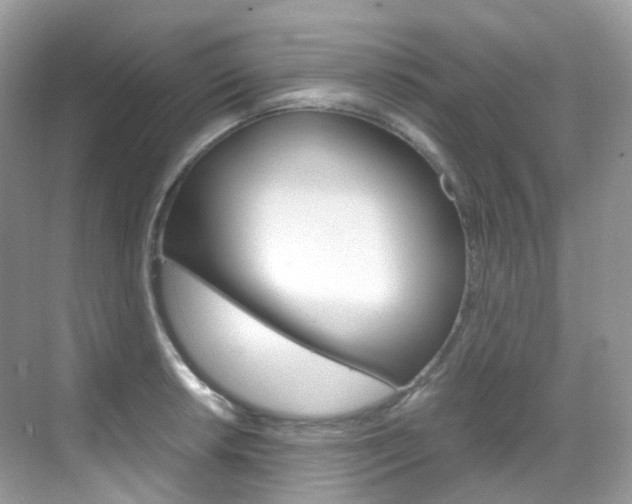 X0000069411042200605121044