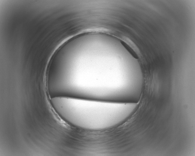 X0000069411044200605121044