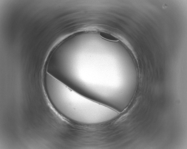 X0000069411045200605121044