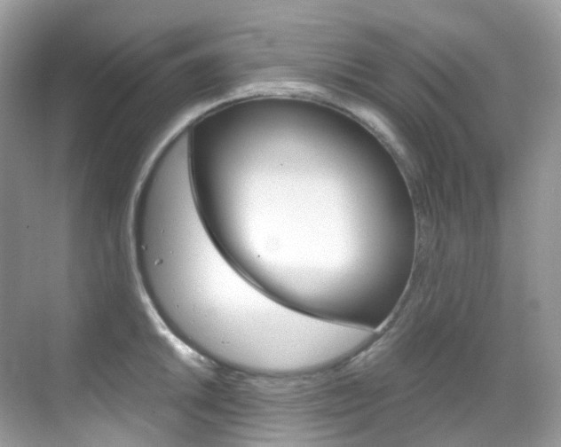 X0000069411046200605121044