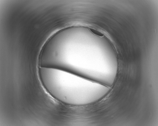 X0000069411048200605121044