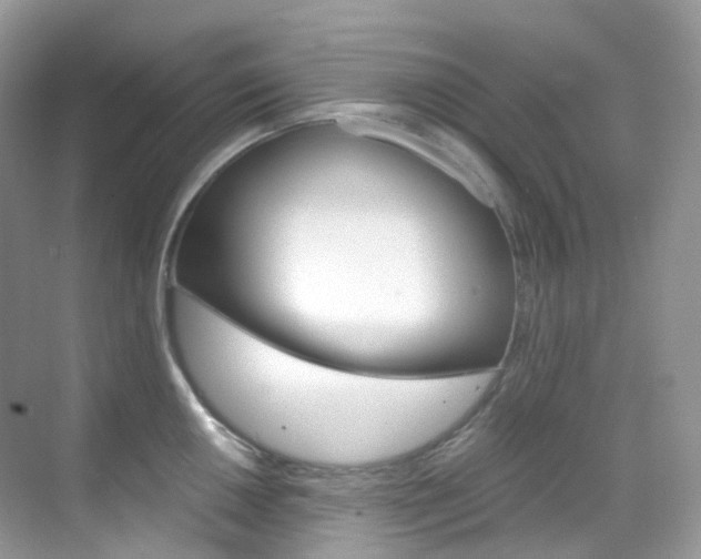 X0000069411050200605121044