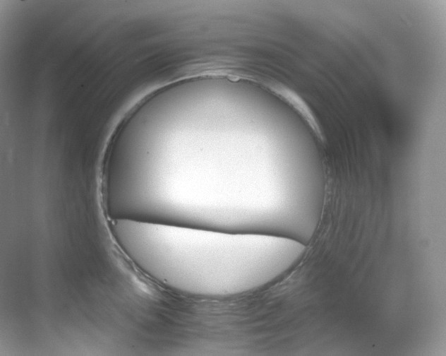 X0000069411051200605121044