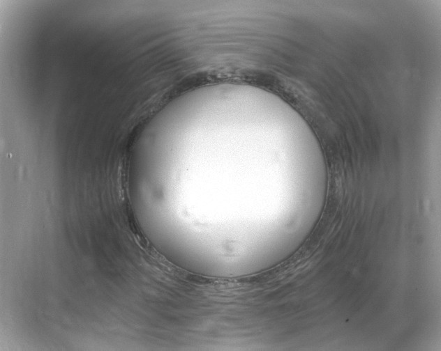 X0000069411060200605121043