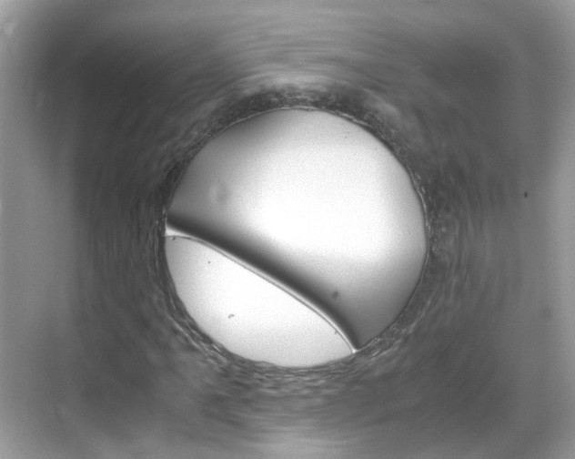 X0000069411061200605121043