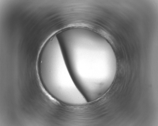 X0000069411084200605121043