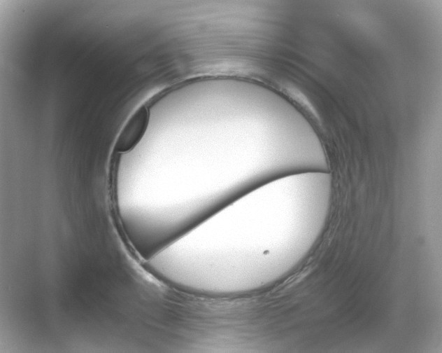 X0000069411087200605121043