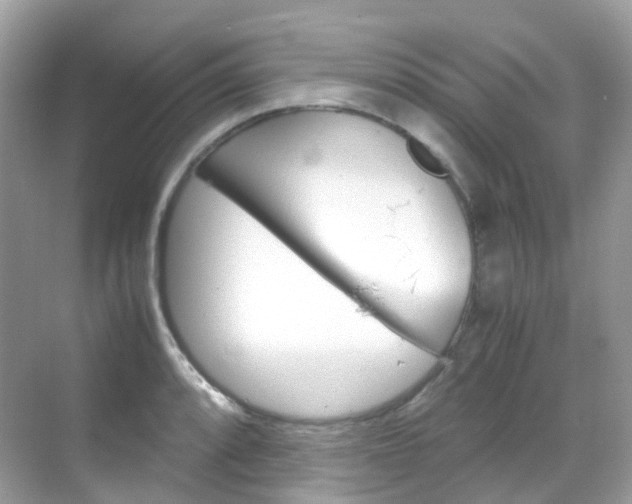 X0000069411088200605121043
