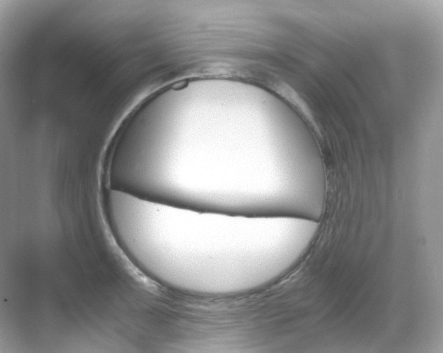 X0000069411091200605121043
