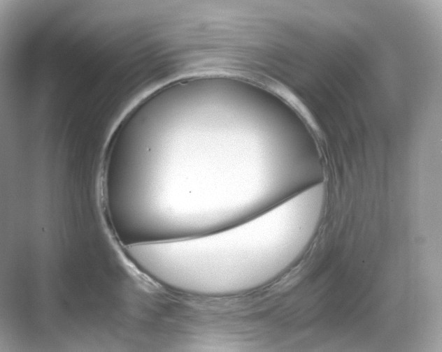 X0000069411101200605121042