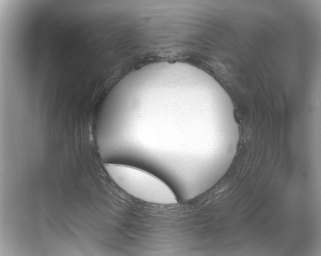 X0000069411106200605121042