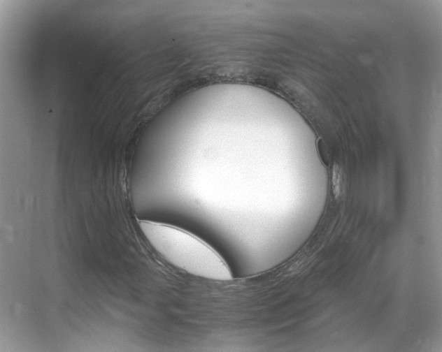 X0000069411107200605121042