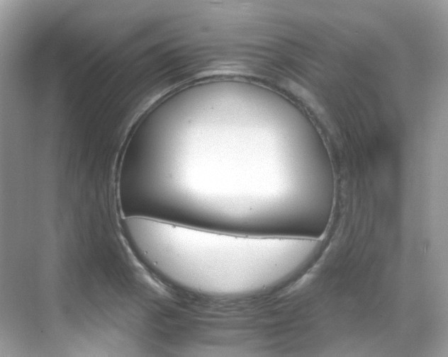 X0000069411129200605121042