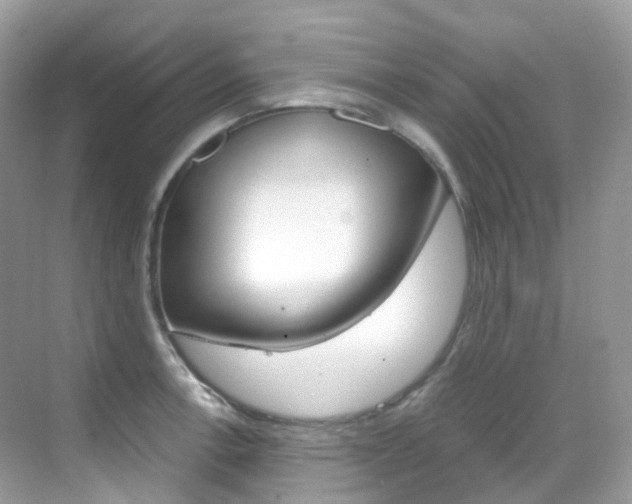 X0000069411138200605121042