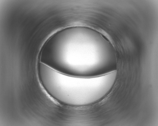X0000069411142200605121042