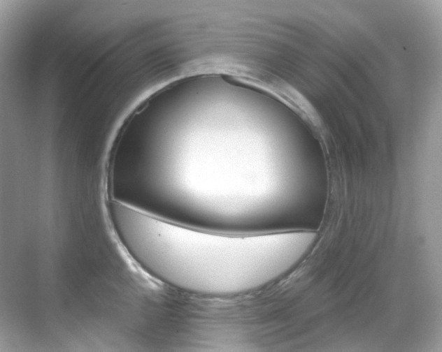 X0000069411144200605121042
